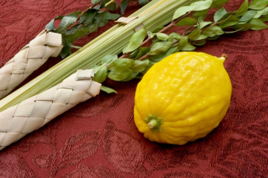 Lulav and etrog